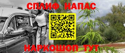 мдпв Донской