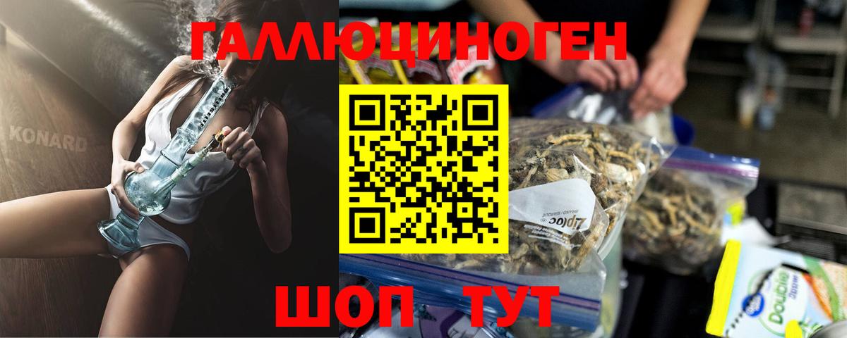 Псилоцибиновые грибы Psilocybine cubensis  Вход с VPN  Жигулёвск 